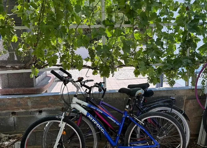 - Nin Family Appartement *